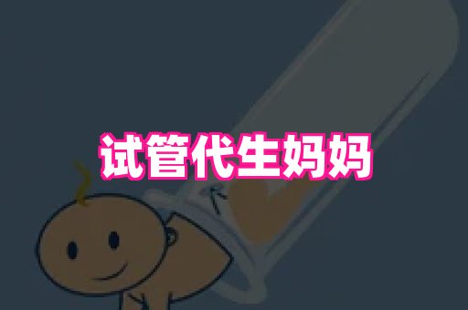 swisee孕网 2