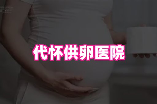 swisee孕网 4